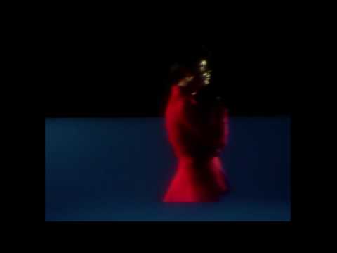 Beach House - The Traveller