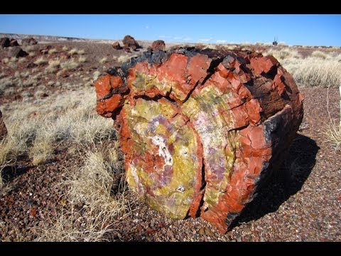 Freaky Petrified Forest National Park - Best Parks Ever - 4346