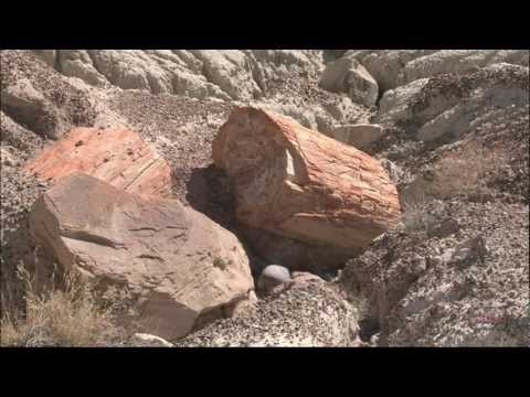 Petrified Forest National Park 3-minute Tour