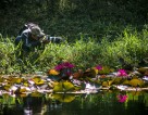 Cubaflash/2016.  Primer Concurso Nacional de Fotonaturaleza. Foto de Elio Mirand