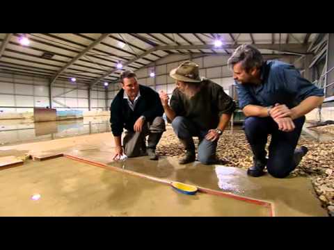 Time Team Special 36 (2008) - The Lost Dock of Liverpool (Liverpool, Merseyside)