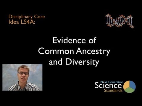 LS4A - Evidence of Common Ancestry and Diversity