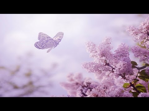 Relaxing Piano Music: Romantic Music, Peaceful Music, Soothing Sleep Music, Relaxing Music ★89