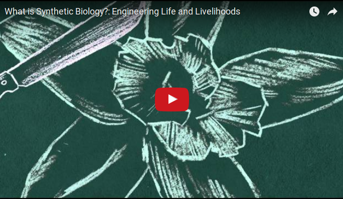 Synbio Video