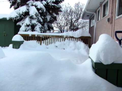 Edmonton Alberta Winter