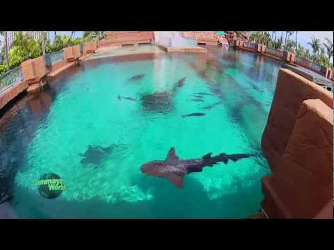 Atlantis Paradise Island Bahamas