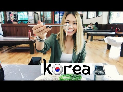 Travel Vlog: Seoul, South Korea | HAUSOFCOLOR