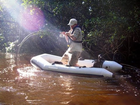 Explosive tarpon in the remote jungle of Cuba - Fishing Adventurer