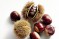 Ten secrets of chestnuts