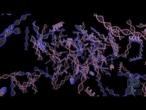 Teaming Up: Imaging and Genetics