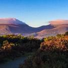 This was taken on October 2016 at Murlough reserve. Where the mountains of Mourne sweep down to the sea. Submitted by Deborah Anderson from Lisburn