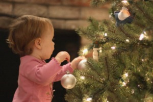 Christmas curiosity ... To be fair, the room just got a big tree with lights and spinny things on it. Who could resist?