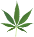 Cannabis leaf 2.svg