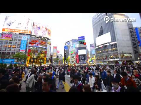 Shibuya, Tokyo |  Japan Travel Guide