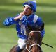 Plaudits: Hugh Bowman and Winx return to scale.