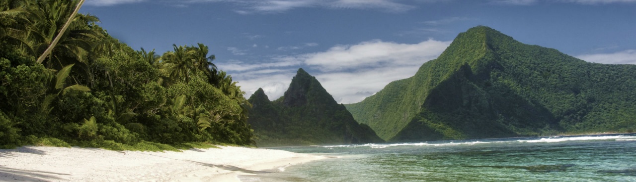 A beach with green mountains and a patch of lush greenery