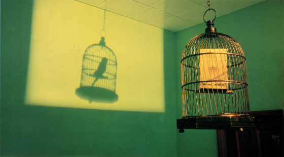 B&H Surreal 'Birdcage'-01