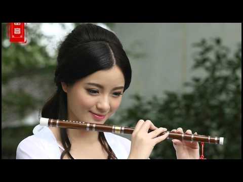 Beautiful Chinese music Instrument  Endlesslove 10 different songs