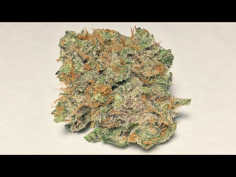 "Critical Mass" - (Strain Review)