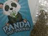 Synthetic drugs back on shelves