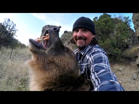 GoPro: Man and Grizzly Bear - Rewriting History