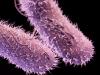 UN mobilises to stop superbugs