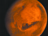 Researchers grow food in Martian soil