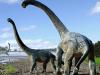 Massive dinosaur discovered in outback