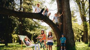 Eden Seck, 10, Emily Bodman, 7, and Harry Bodman, 9 (in tree), and Miriama Seck, 8, Lillian Hogan, 7, Holly Bodman, 4, ...