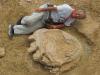 Dinosaur footprint among largest ever