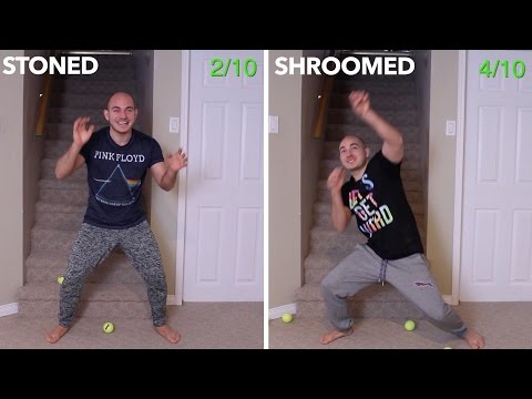 Weed VS Shrooms Challenge (CONDENSED VERSION)