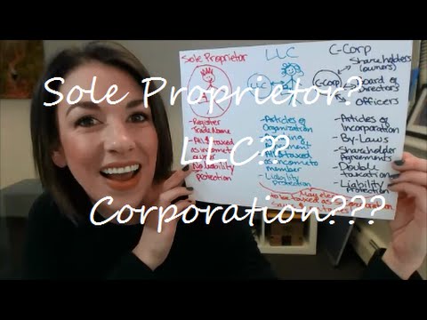 All Up In Yo' Business: Sole Proprietor, LLC, or Corporation?