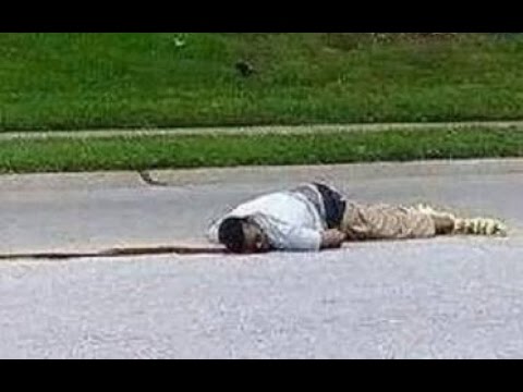 The Truth About the Michael Brown Shooting