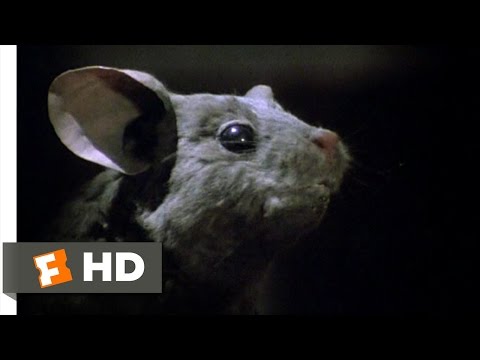 The Witches (8/10) Movie CLIP - Good Lord (1990) HD