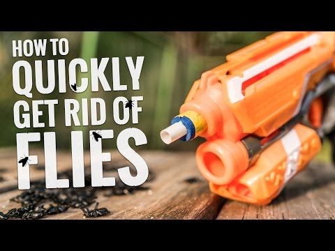 How To Quickly Get Rid Of Flies