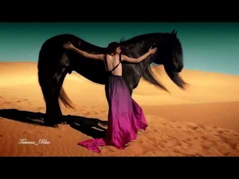 Leo Rojas - Celeste