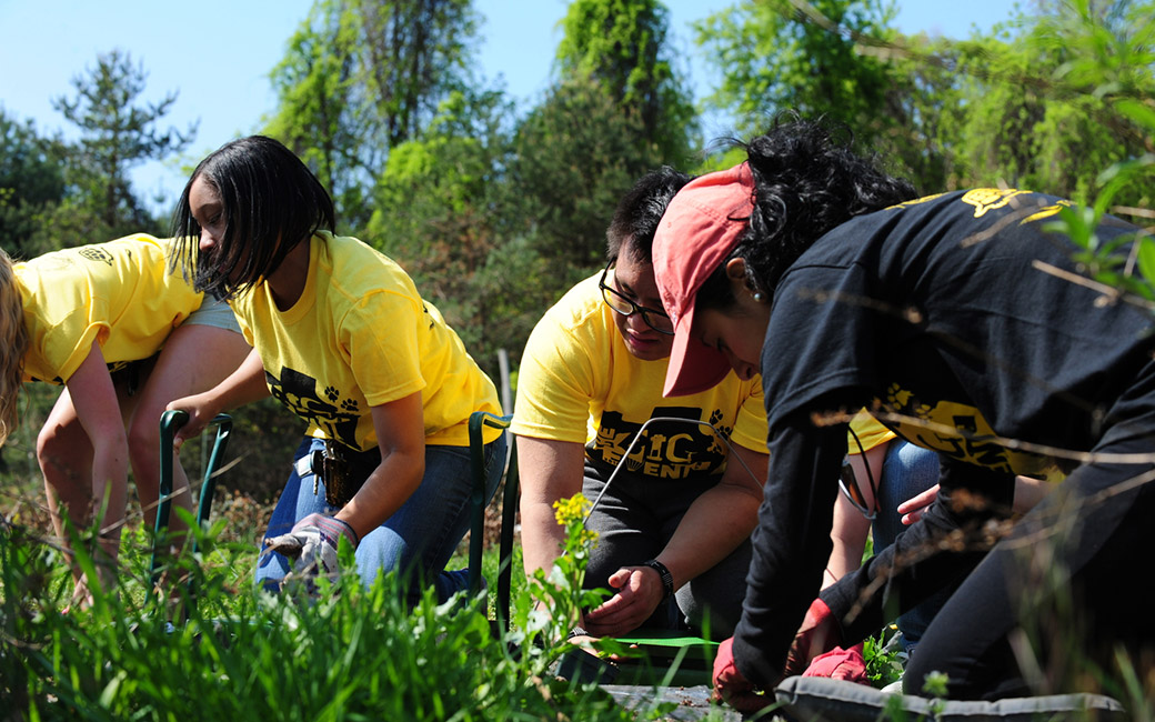 students work in community