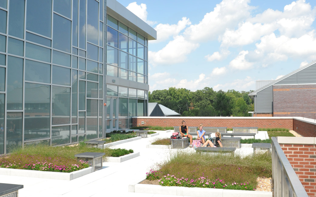 West Village Commons Roof