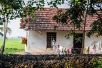 Typical scene taken from a boat on the backwaters in Kerala State, India.