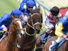 Monday Rewind: Winx, Winx, Winx