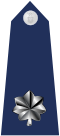 US Air Force O5 shoulderboard.svg