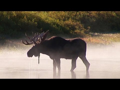 The National Park Service helps you “find your park”