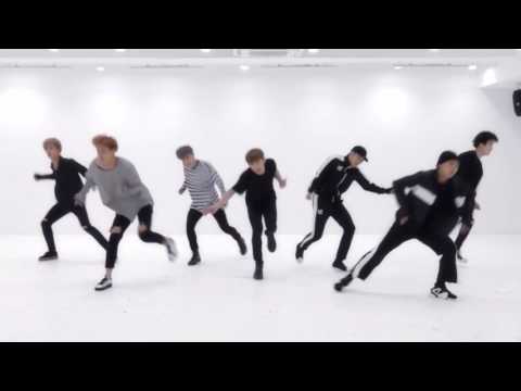 BTS 'Blood Sweat & Tears' mirrored Dance Practice