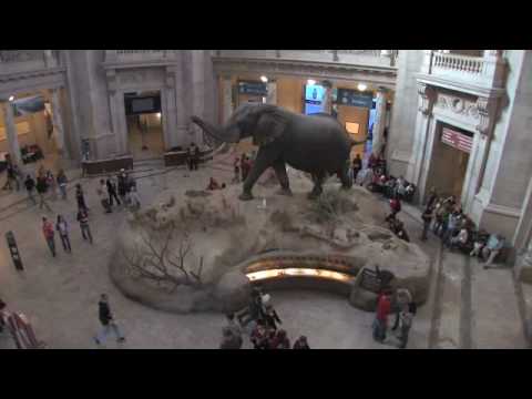 National Museum of Natural History - Student Orientation Video