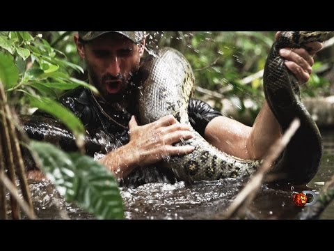 Eaten Alive Sneak Peek | Sun Dec 7 9/8c on Discovery