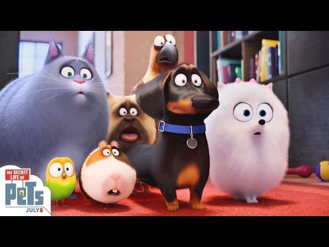 The Secret Life Of Pets - Trailer #3 (HD) - Illumination