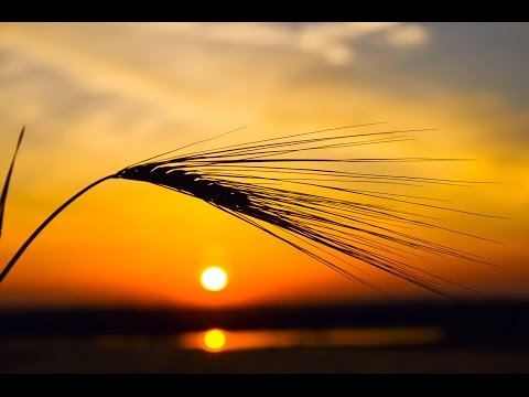 8 Hour Dream Music: Relaxing Deep Sleep Music, Meditation Music, Sleep Meditation, ☯475