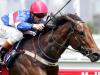 Fab Fevola, Big Buddie! Horse names inspired by AFL