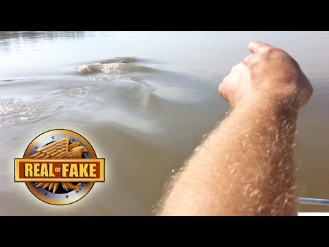 MISSOURI  RIVER MONSTER - real or fake?