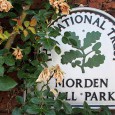 On a scorching Sunday afternoon, we headed off to Morden Hall Park, a National Trust park located on the banks of the River Wandle in Morden, south London.